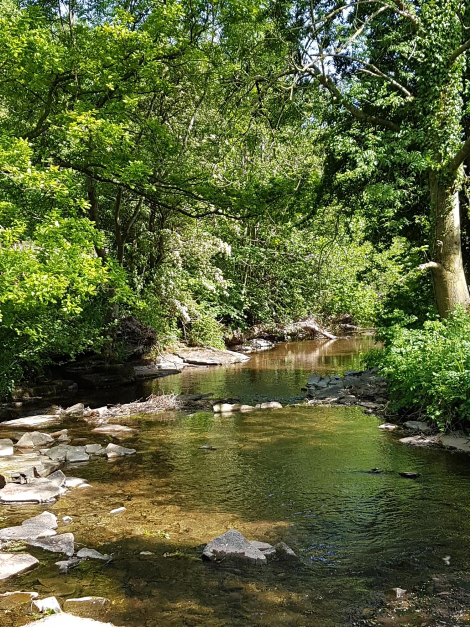 הרפורד River Cottage@Cwm Mill - Riverside Family Holidays In The Black Mountains מראה חיצוני תמונה